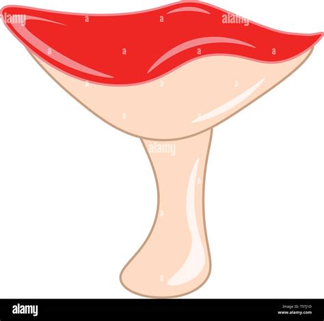 A mushroom with a red cap vector color drawing or illustration Stock Vector Image & Art - Alamy