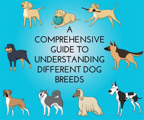 A Comprehensive Guide to Understanding Different Dog Breeds | Blue Cross Veterinary Hospital