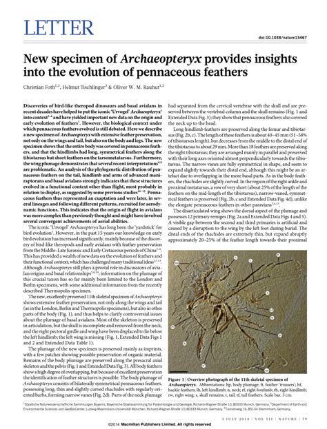 (PDF) New specimen of Archaeopteryx provides insights into the ...