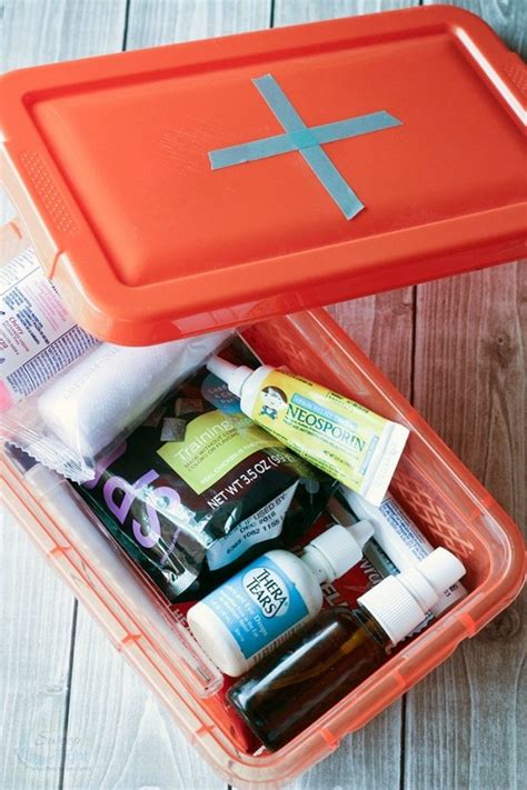 DIY Dog First Aid Kits for Adventurous Pets | A Magical Mess