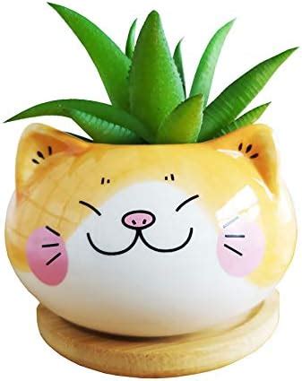 Amazon.com: Youfui Cute Animal Shaped Cartoon Home Decoration Succulent ...