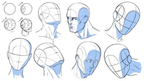 How to Draw Heads at Various Angles - Reference by robertmarzullo on DeviantArt