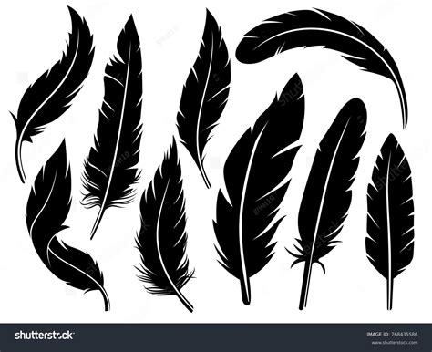 Feather Photos, Images & Pictures | Shutterstock