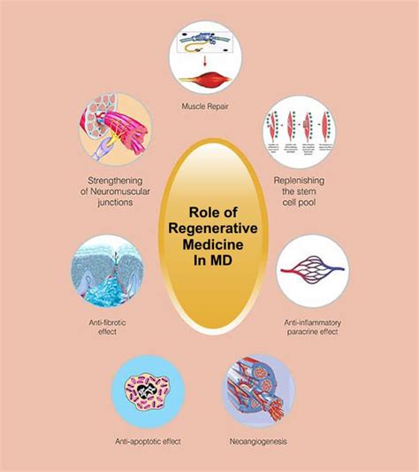 Stem Cell Treatment For Muscular Dystrophy in Mumbai, India - NeuroGen BSI