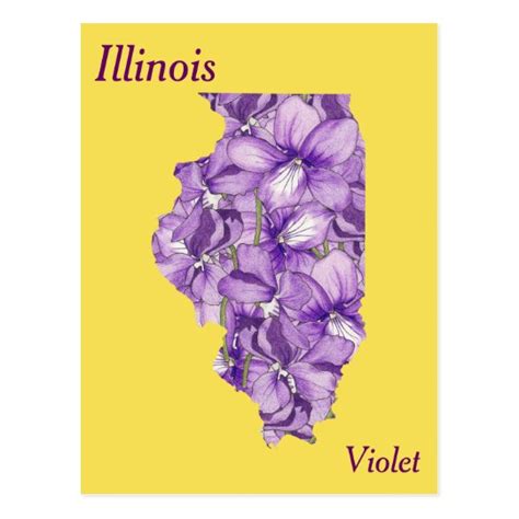 Illinois State Flower Collage Map Postcard | Zazzle.com