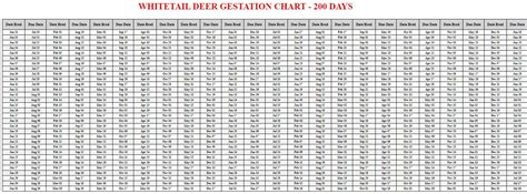 Whitetail Deer Gestation Calculator & Chart {Printable} - Livestocking