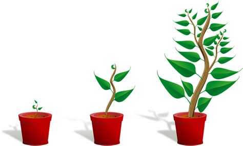 Growing Plant PNG Transparent | PNG Mart