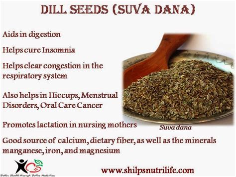 Dill seeds ( Suva Dana) Dill is a unique plant in that both its leaves and seeds are used as a ...