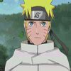 Naruto Gif - Naruto Icon (18912325) - Fanpop