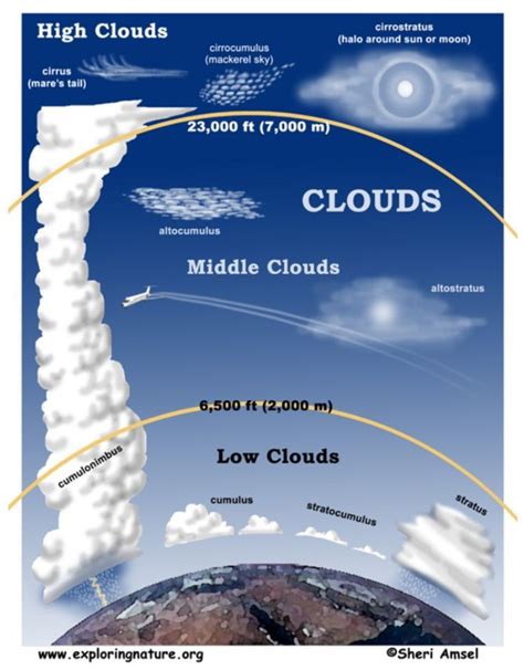 Cloud Types Infographic Earth And Space Science, Earth From Space, Science For Kids, Science And ...