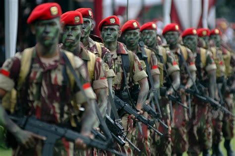 Dirgahayu Tentara Nasional Indonesia (TNI) ke 71 - CEPAGRAM