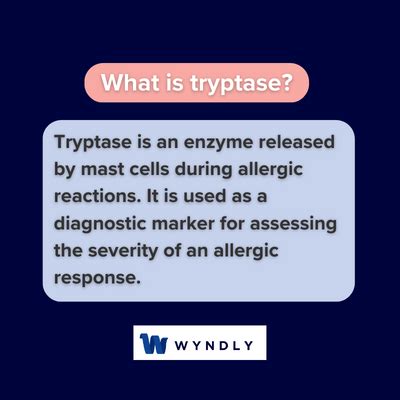 Tryptase Definition: What Is Tryptase? (2024) & Wyndly