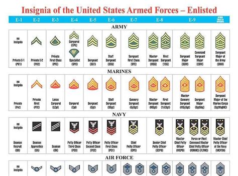 Air Force Ranks And Pay For 2021 Enlisted And Officer | Images and Photos finder