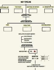 NRP Timeline.pdf - NRP timeline Gestational age? I Fluid color? U.C ...