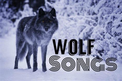 Top 10 Wolf Songs - Spinditty