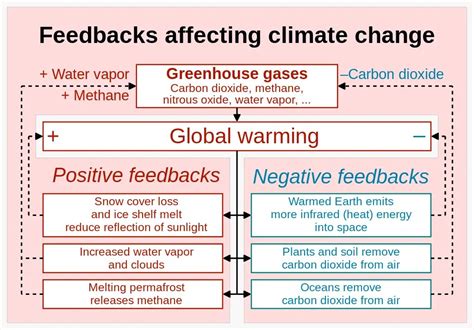 Negative Feedback Loop Examples Environment