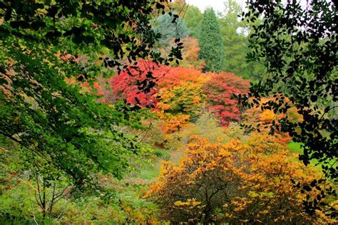 Winkworth Arboretum, a Great Autumn Day Trip from London - Sunny Journeys