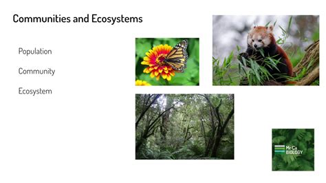 Communities and Ecosystems (GCSE 9-1 Biology) - YouTube