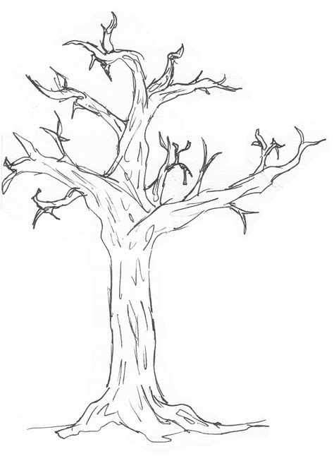 Simple Family Tree Drawing at GetDrawings | Free download