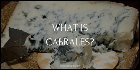 What is Cabrales? Spain’s Artisan Blue Cheese Delight - Cheese Origin