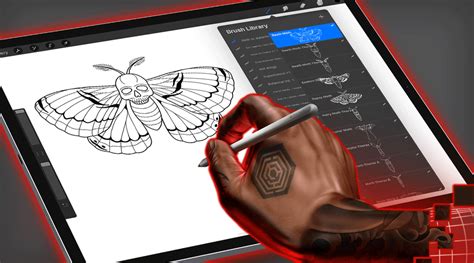 Moth vs. Butterfly| Moth vs. Butterfly | Tattoo Smart