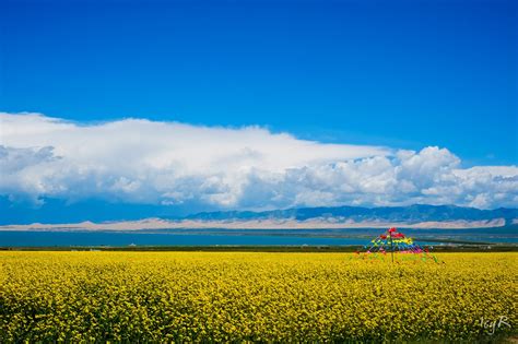 QingHai Lake Tour - China Tours @WestChinaGo