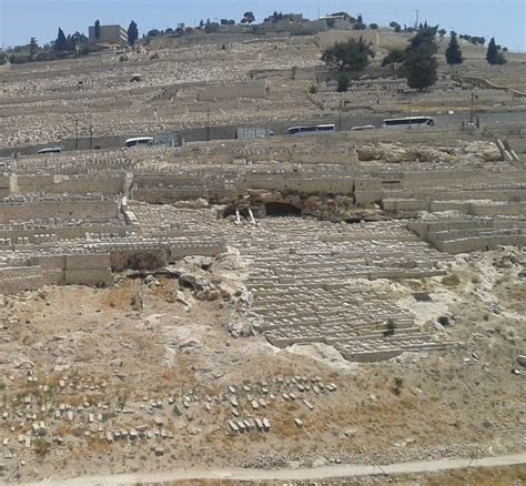 MOUNT OF OLIVES - Jesus' Prayer, Prophecy & Ascension