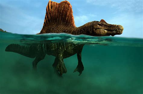 Fossilguy.com: Spinosaurus - The First Semi Aquatic Dinosaur! Facts and Information