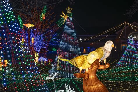 ZooLights at Lincoln Park Zoo Makes the Season Bright! - Chicago Parent