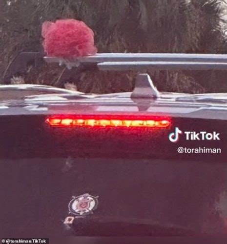 If You See Someone With A Loofah On Their Car, It Means Something Totally… – 2020 Conservative