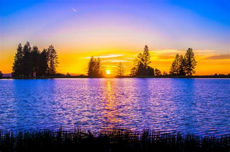 Blue and Orange Sunset over Lake With Tree Silhouettes · Free Stock Photo