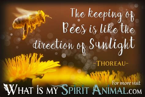 Bee Quotes & Sayings | Animal Quotes & Sayings