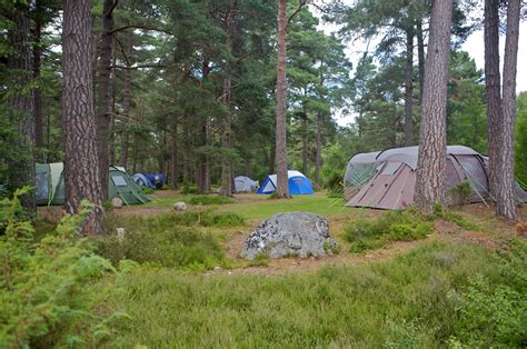 Forest Camping Uk 18++ | IDN Camping