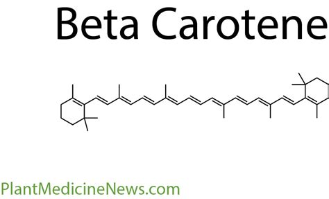 Beta Carotene - Plant Medicine News