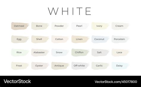 White paint color swatches with shade names Vector Image