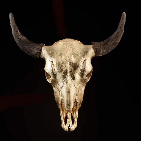 Bison Skull (Silver Gild) - Phylum Design - Touch of Modern