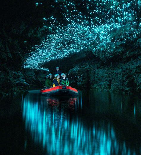 Waitomo Caves Tours NZ | Spellbound Glowworm Cave Tours