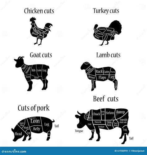 Butcher chart stock illustration. Illustration of food - 61900991