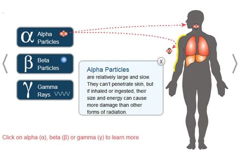 Radiation Health Risks – Woods Hole Oceanographic Institution