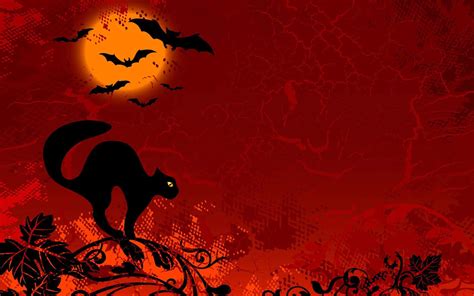 Download Black Cat with Pumpkins on Halloween Wallpaper | Wallpapers.com