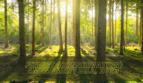 Parliament Passes Forest (Conservation) Amendment Bill, 2023: Rajya Sabha Approves Contentious ...