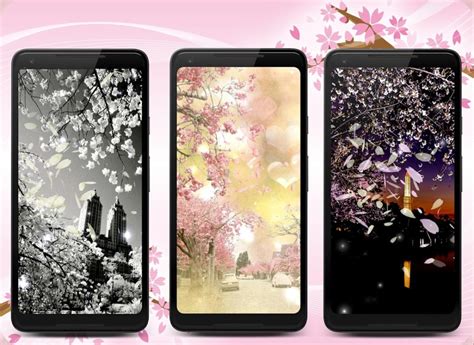 Sakura Live Wallpaper APK for Android - Download