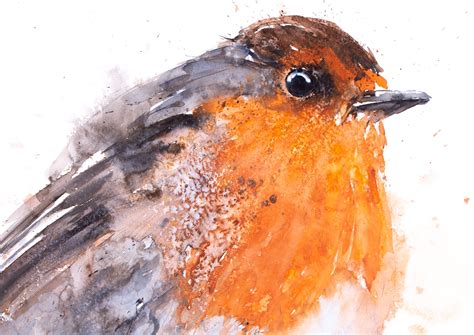 Robin Painting - Robin Watercolour Painting - Hand Signed Limited ...