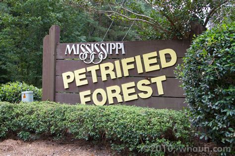 Mississippi Petrified Forest Campground - 3 Photos - Flora, MS