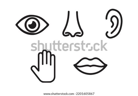 Five Senses Vector Icons Set Vision Stock Vector (Royalty Free) 2201605867 | Shutterstock