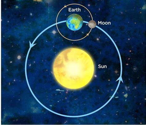 Earth orbiting the Sun The Earth is 1.5 ⋅ 10 8 km from the Sun (on average). How fast is the ...