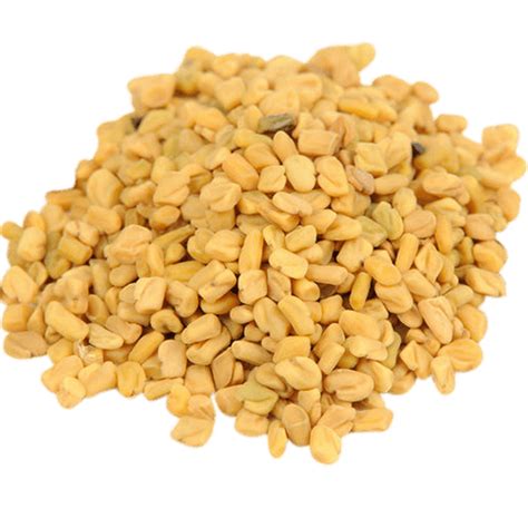 Buy Fenugreek Seeds Online | Food to Live