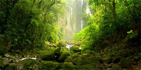 Peruvian rainforest and waterfalls - Dyxum