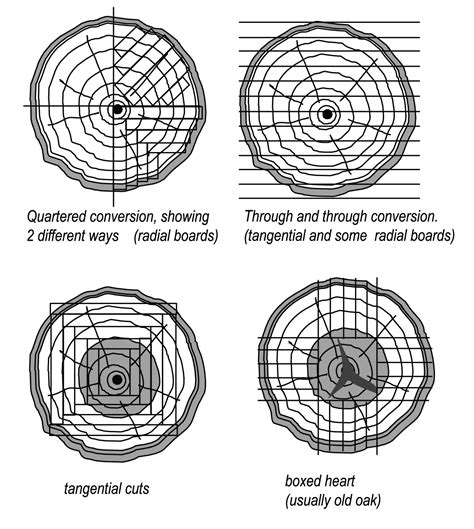 Copy Of Timber Technology - Lessons - Blendspace