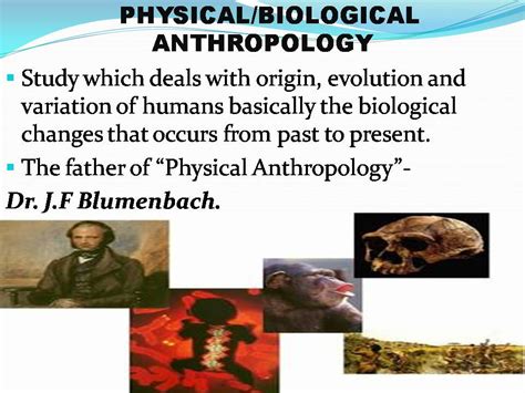 History of Physical/ Biological Anthropology- PPT - Forensics Digest